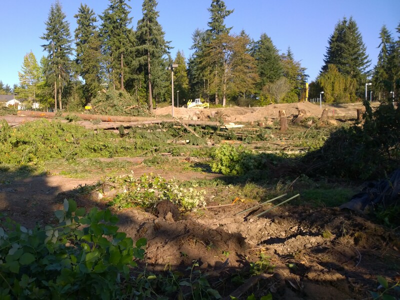 Trees cut down for a development.